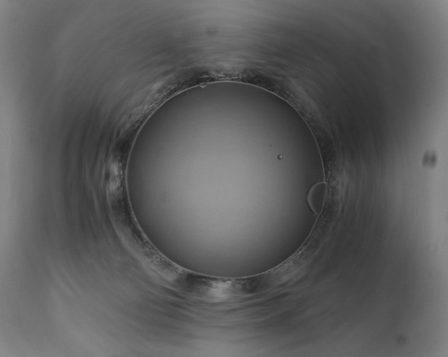 X0000111030130200906251314