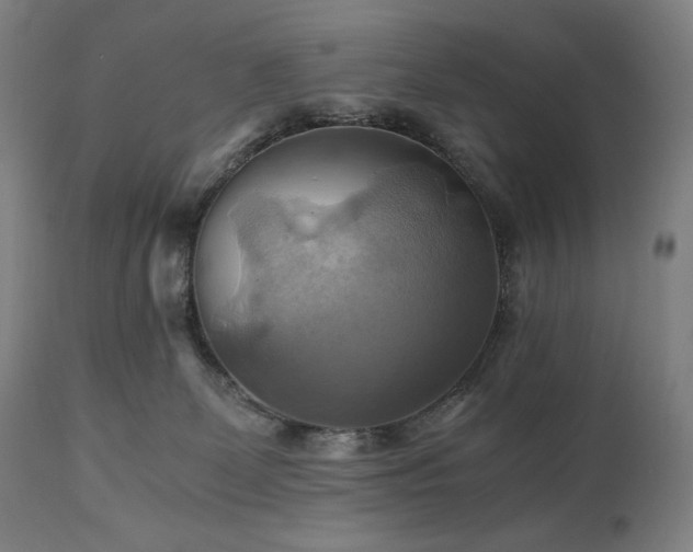 X0000111030131200906251314