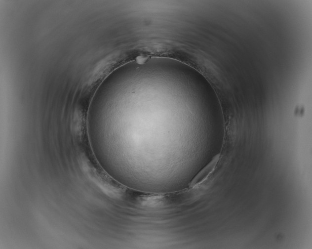 X0000111030132200906251314