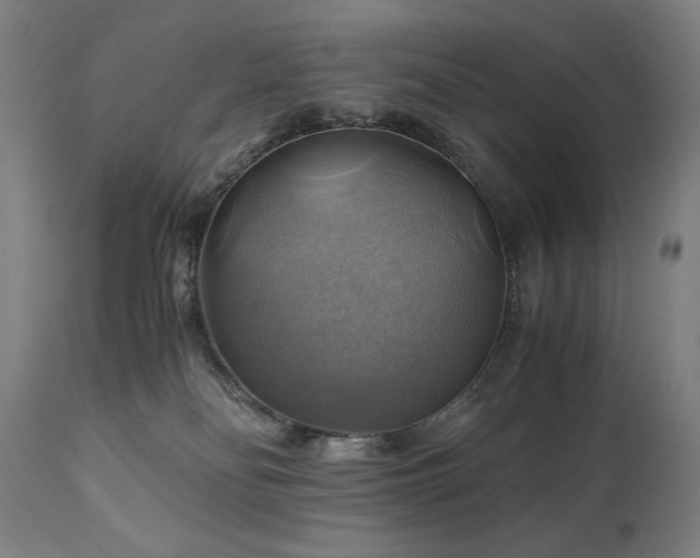 X0000111030134200906251314