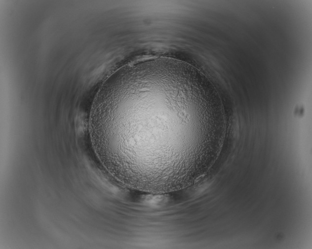X0000111030135200906251314