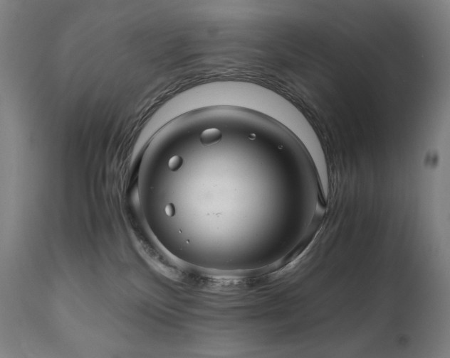 X0000111030136200906251314