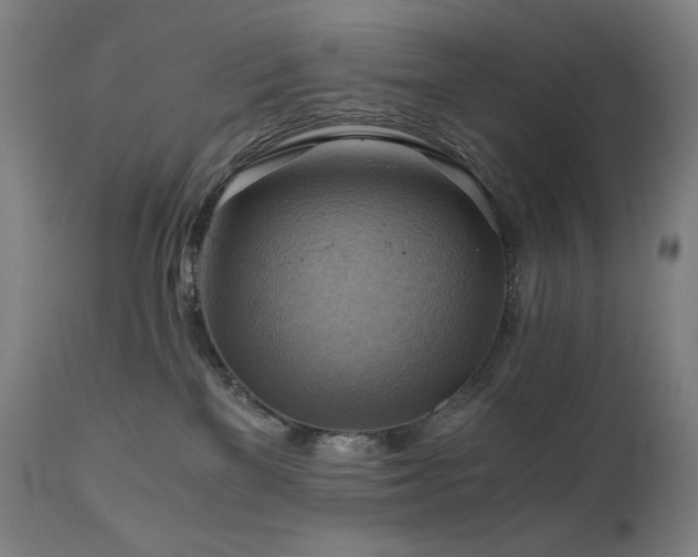 X0000111030137200906251314