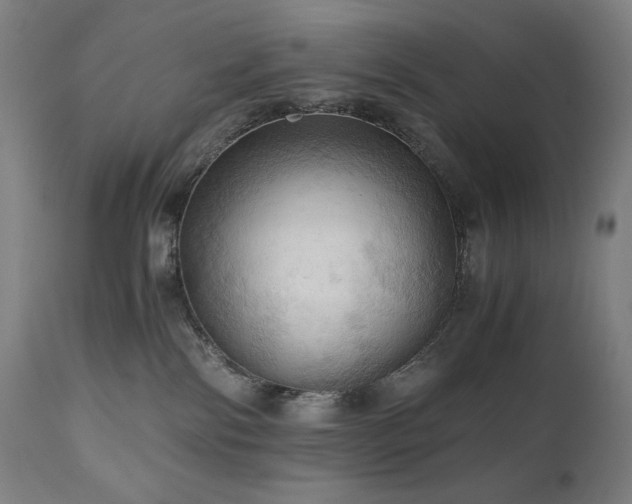 X0000111030138200906251314