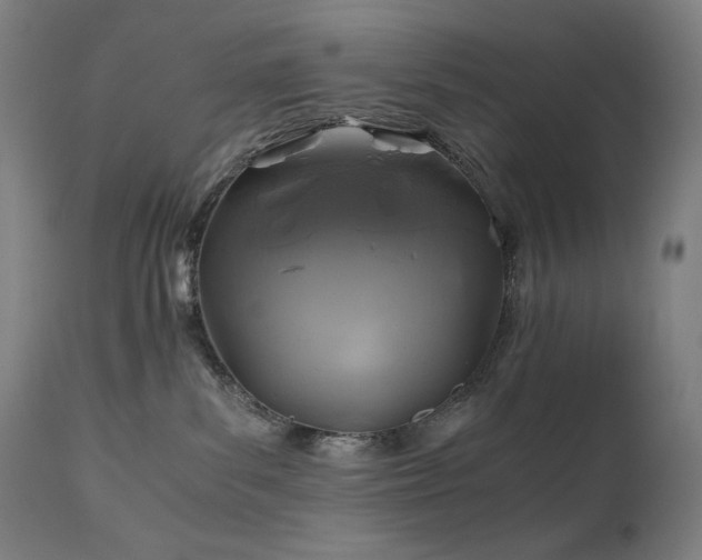 X0000111030139200906251314