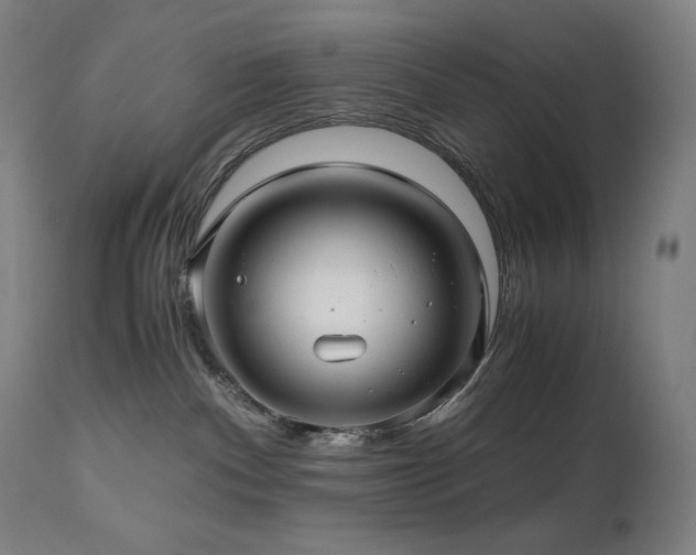 X0000111030140200906251314
