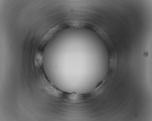 X0000111030142200906251314