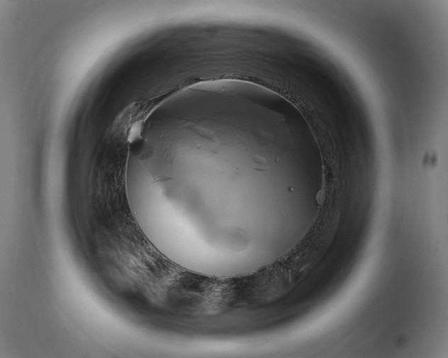 X0000111030143200906251314
