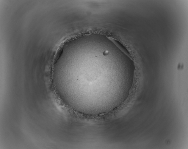 X0000111030144200906251314