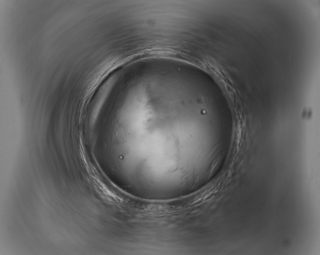 X0000111030145200906251313