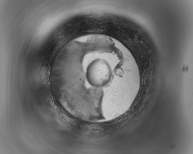 X0000111030146200906251313