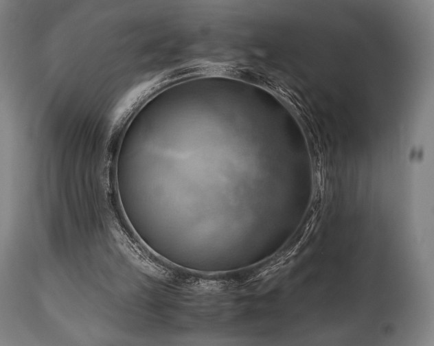 X0000111030149200906251313