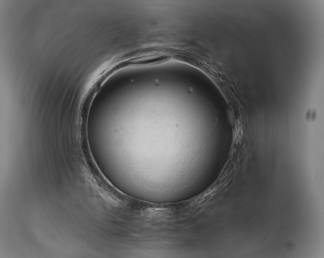 X0000111030150200906251313