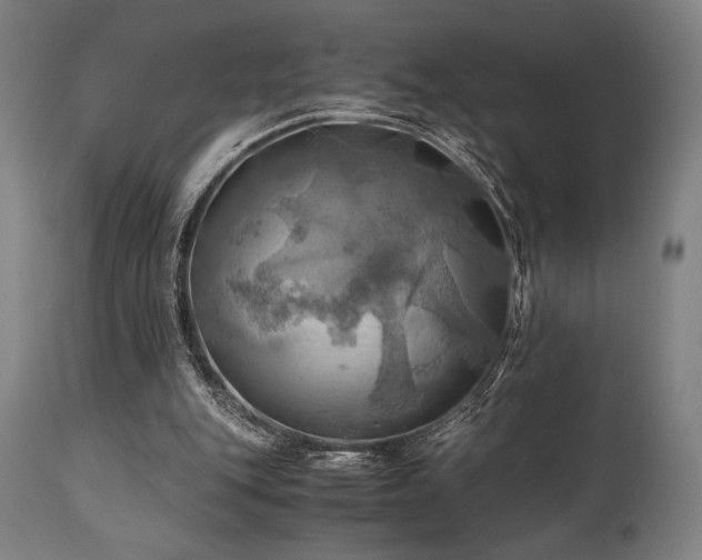 X0000111030151200906251313