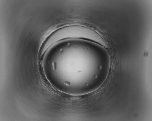X0000111030152200906251313