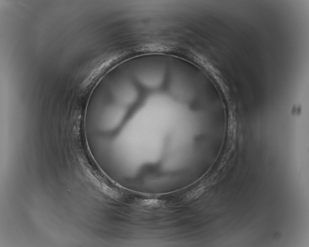 X0000111030153200906251313