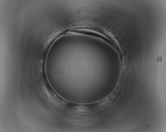 X0000111030154200906251313