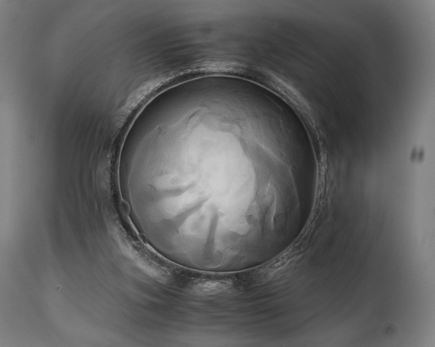 X0000111030155200906251313