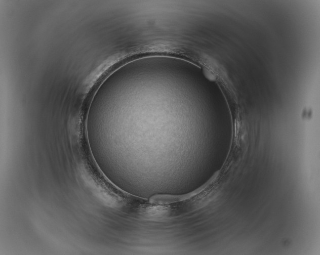 X0000111030156200906251313
