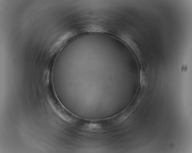 X0000111030157200906251313