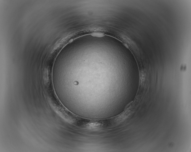 X0000111030158200906251313