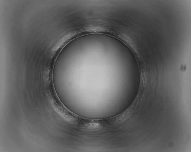 X0000111030159200906251313
