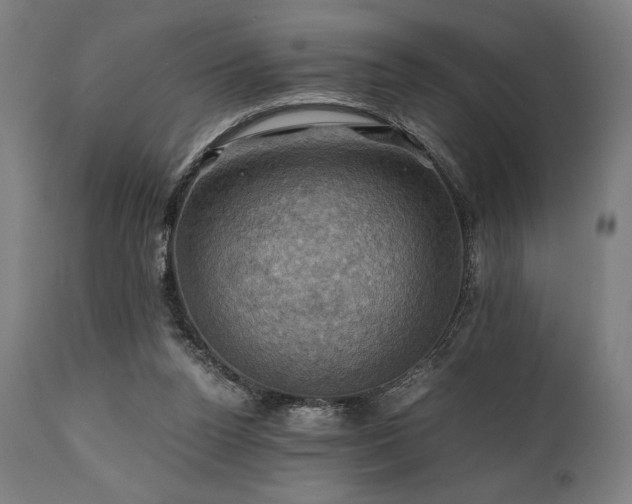 X0000111030160200906251313