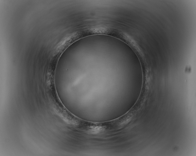 X0000111030161200906251313