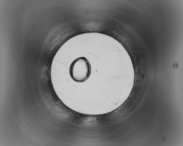 X0000111030162200906251313