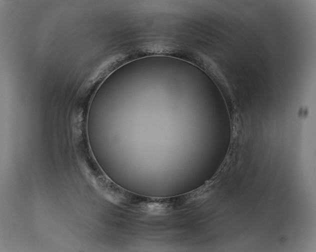 X0000111030163200906251313
