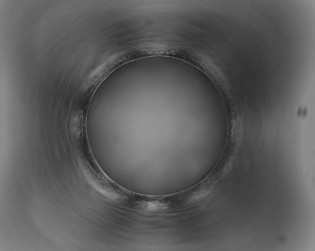 X0000111030165200906251313