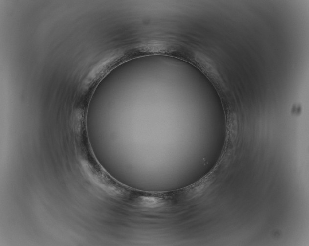 X0000111030167200906251313
