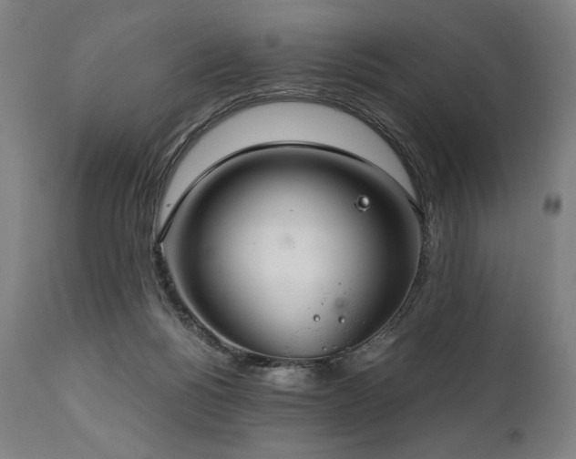 X0000111030168200906251313