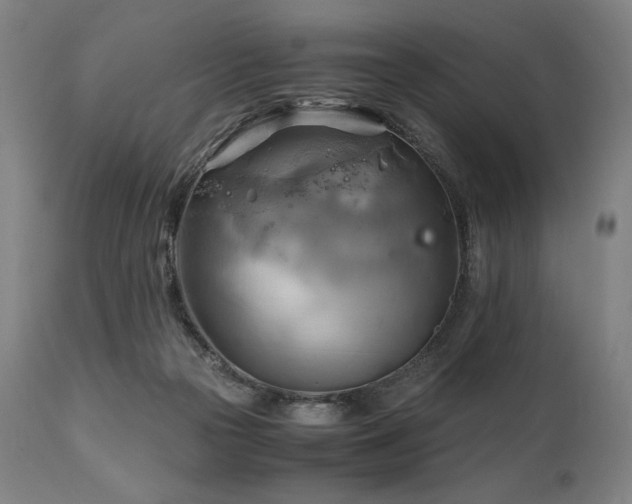 X0000111030169200906251313