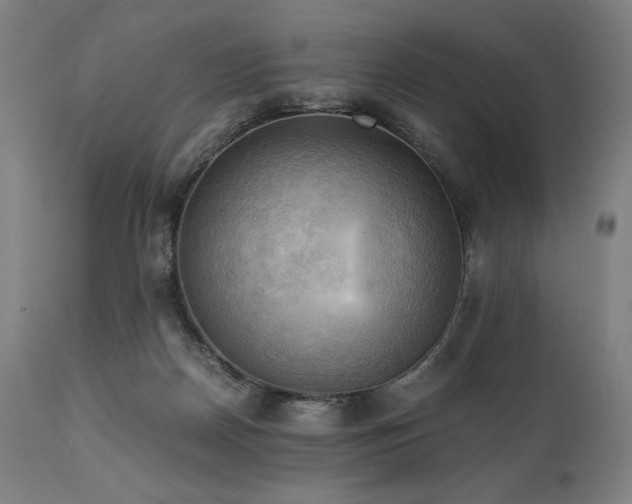 X0000111030170200906251313