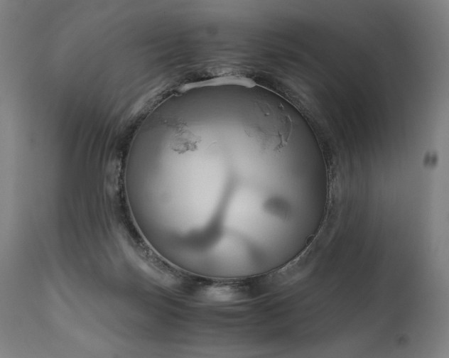 X0000111030171200906251313
