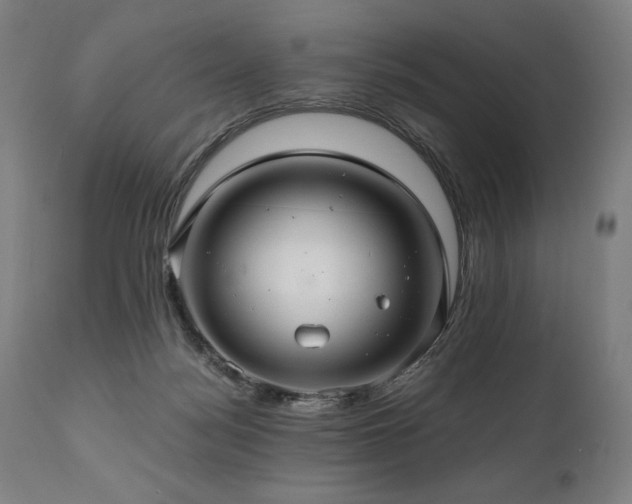 X0000111030172200906251313