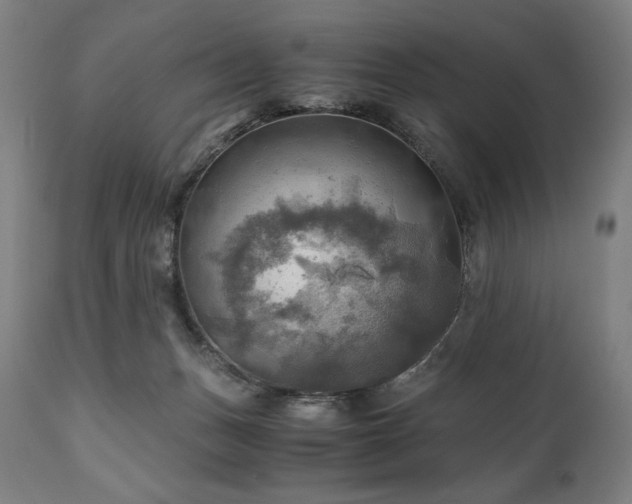 X0000111030175200906251313