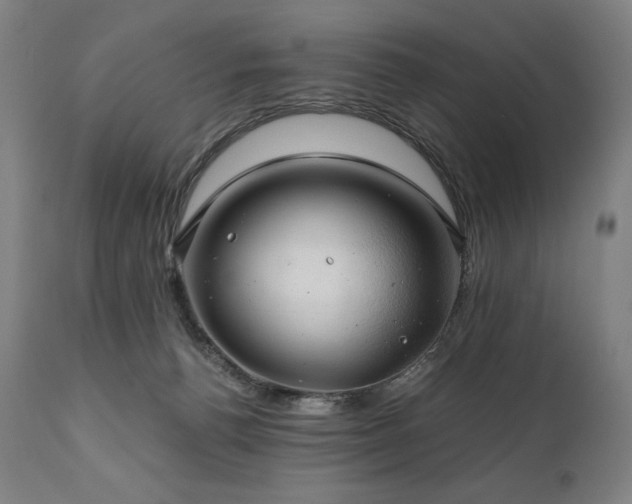 X0000111030176200906251313