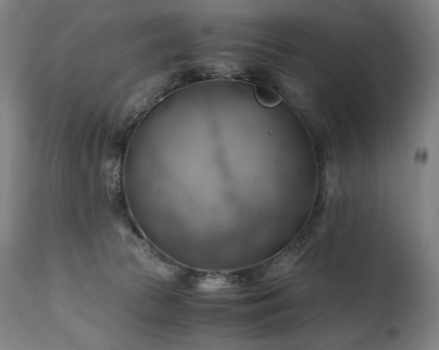 X0000111030177200906251313