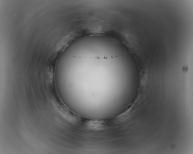 X0000111030179200906251313