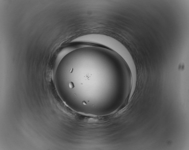 X0000111030180200906251313
