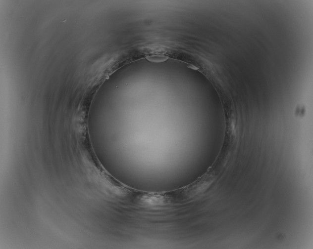 X0000111030181200906251313