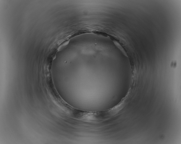 X0000111030182200906251313