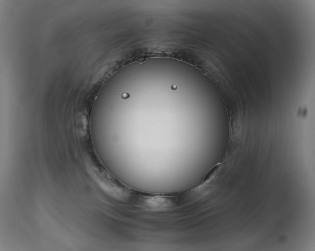 X0000111030183200906251313