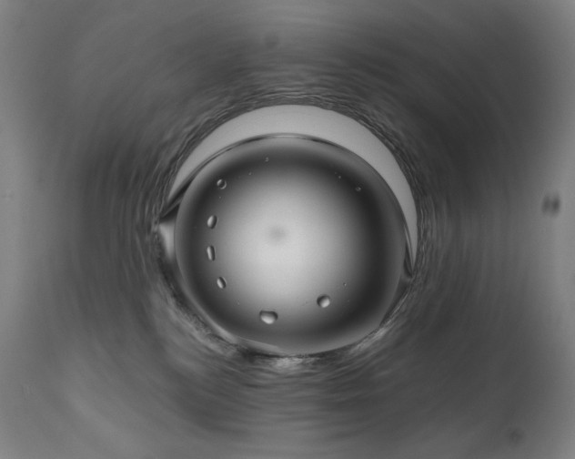 X0000111030184200906251313