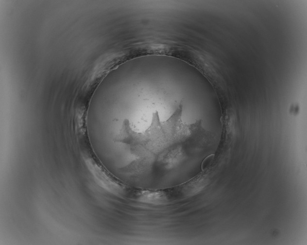 X0000111030185200906251313