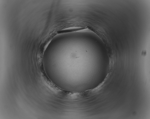 X0000111030186200906251314