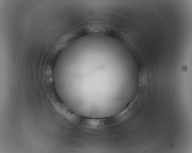 X0000111030187200906251314