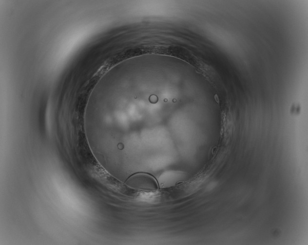 X0000111030189200906251314